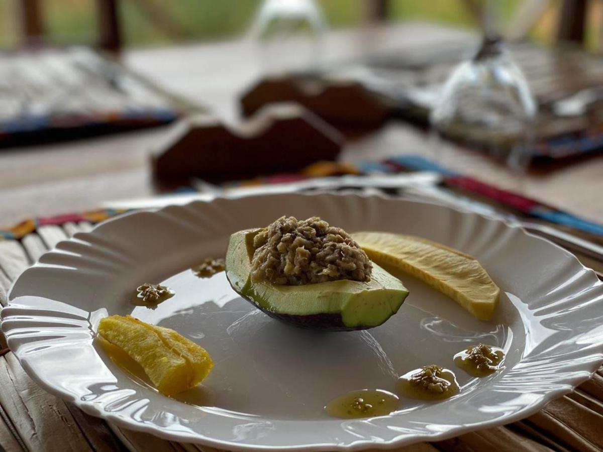 Morro PeixeMonte Mar Saotome别墅 外观 照片