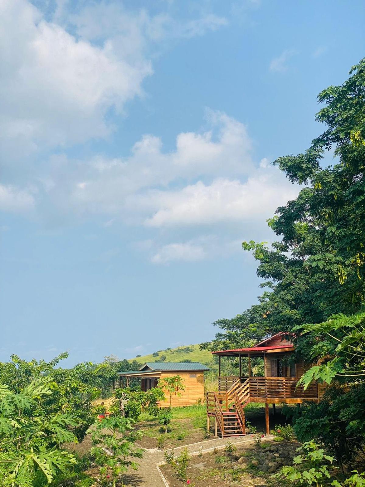 Morro PeixeMonte Mar Saotome别墅 外观 照片