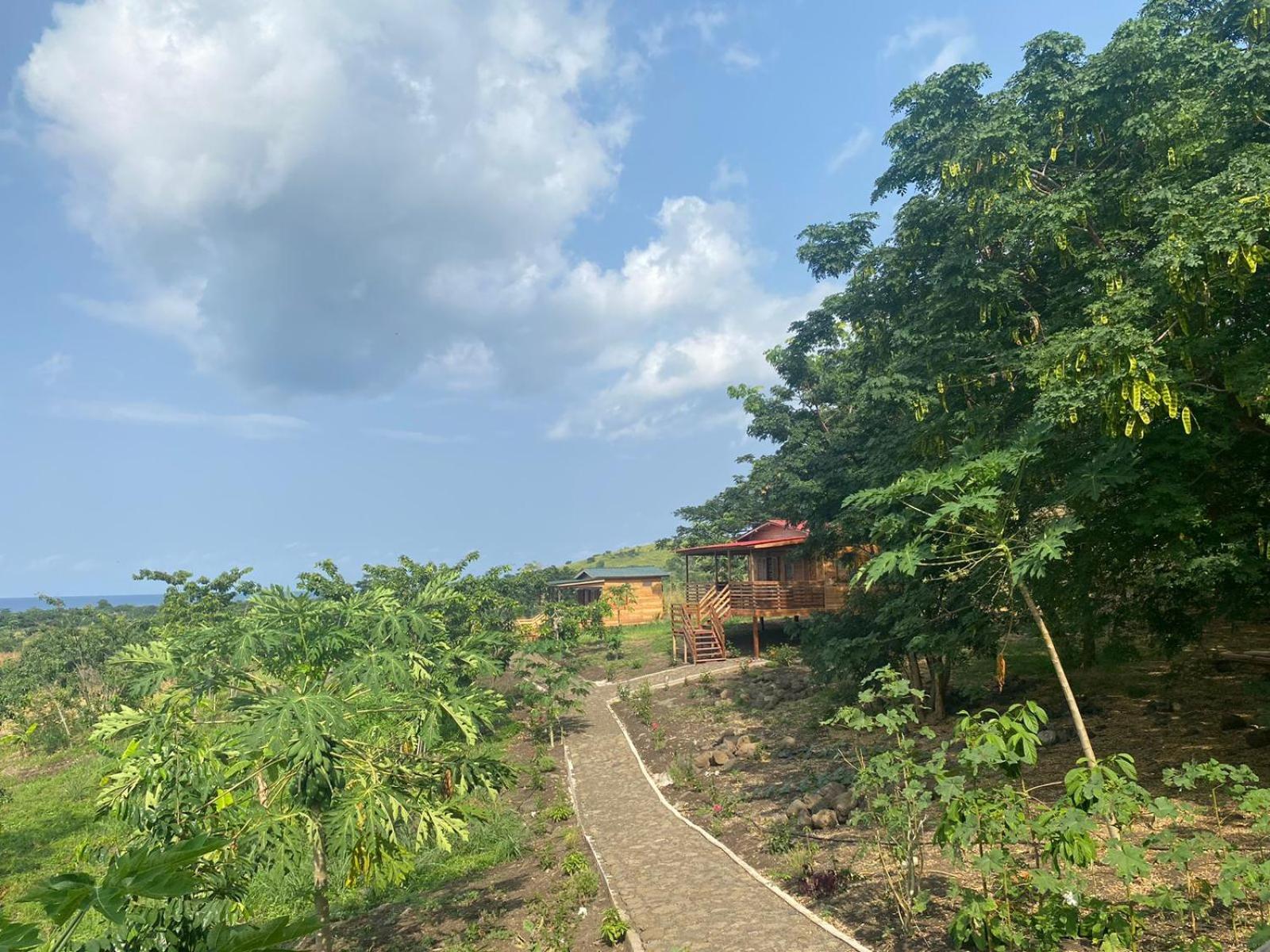 Morro PeixeMonte Mar Saotome别墅 外观 照片